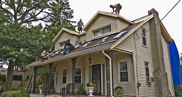 Best Metal Roofing Contractor  in Vale, OR