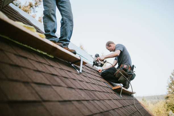 Best Roof Gutter Cleaning  in Vale, OR